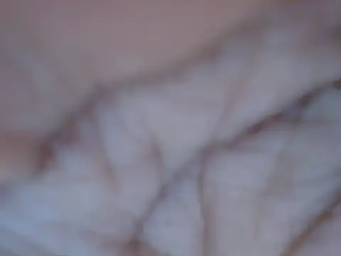 kissing_kitty20