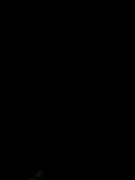 EditingCurl