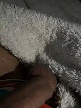 TheFrenchBaguette