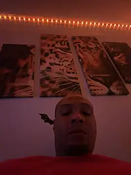 Mrpatience2026