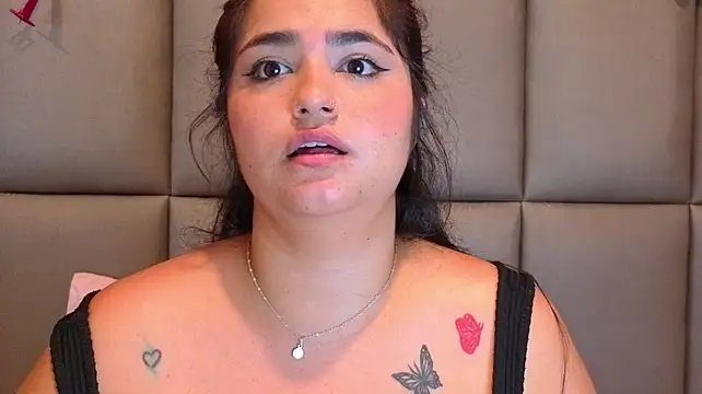 KRYSSTARITTER4 webcam