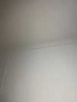 alysson_As