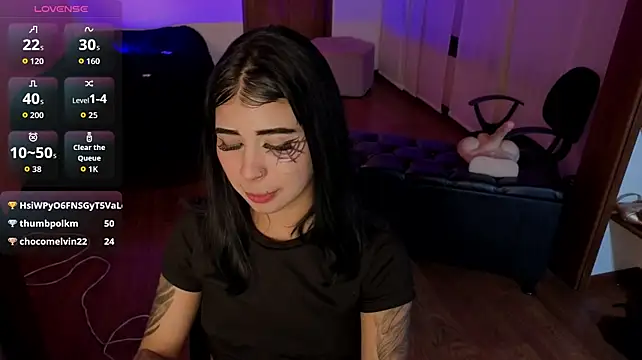-Brittanny webcam