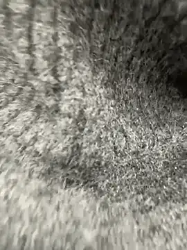 KattyMurr