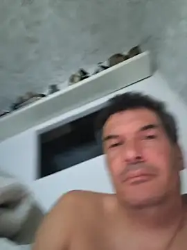 twitshe