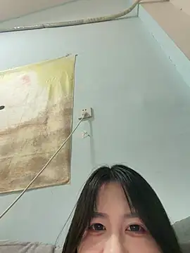 AAin-00 webcam