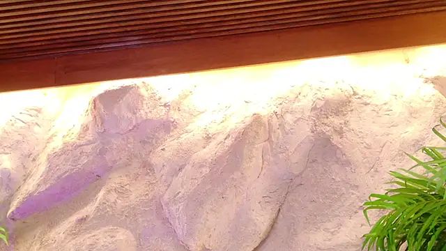 Stellaciel_ live cam preview