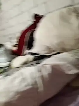 deemonioo6666