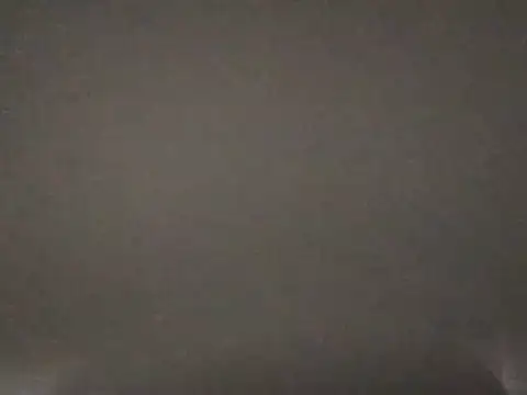 Leximia01