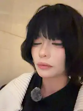 MeimoDog