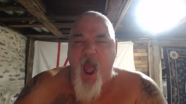 Newfiesausage1972 live cam preview