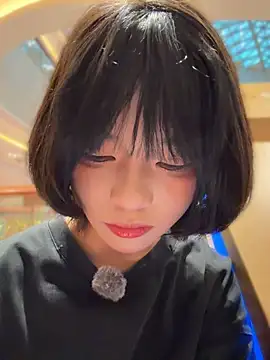 MeimoDog live cam preview