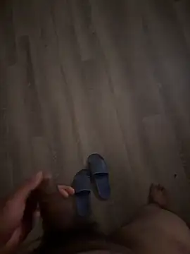 mayo1 live cam preview