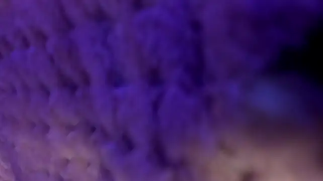 angeel____