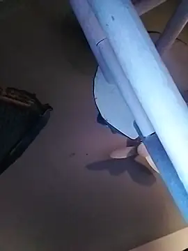 bimexpoexist live cam preview