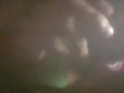S7LEALTADPERVLIMA7