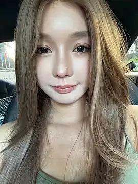 BBi-0329 webcam