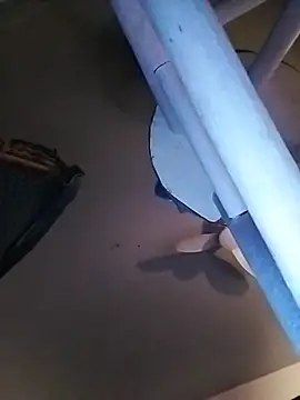 bimexpoexist live cam preview
