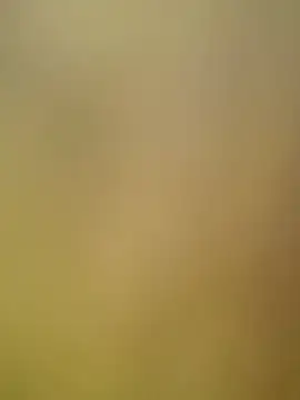 Teluguspicymodda live cam on StripChat