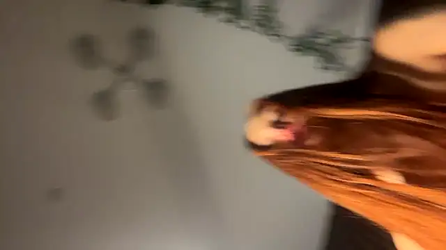 LittleFox___
