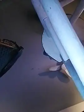 bimexpoexist live cam preview