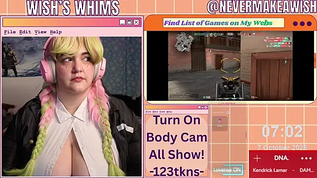 nevermakeawish webcam