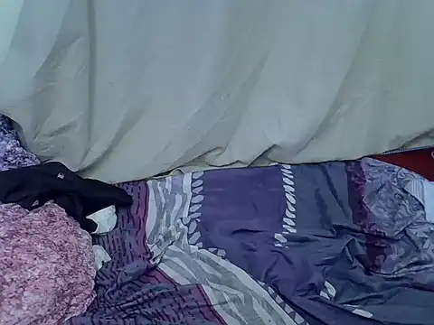 brie_tee webcam