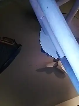 bimexpoexist live cam preview