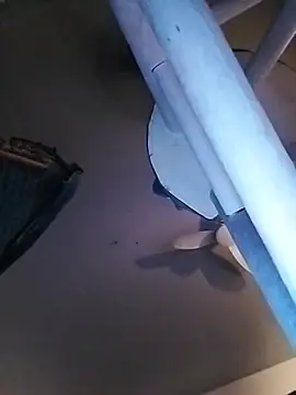 bimexpoexist live cam preview