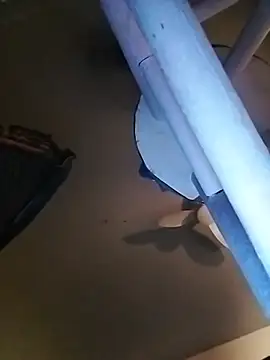 bimexpoexist live cam preview