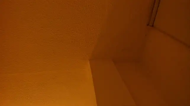 Flor_pink webcam