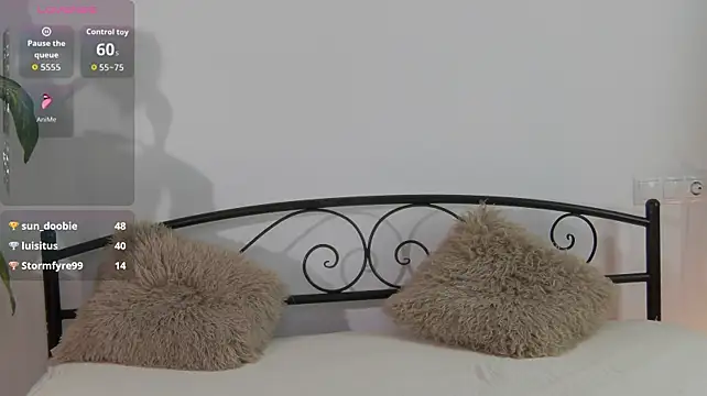 AnisLane