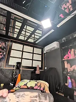 DarkDea webcam