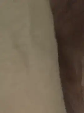 JerryJen11