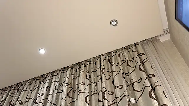 dolly_ll webcam