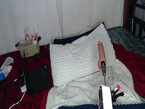Whimsicalwillow webcam