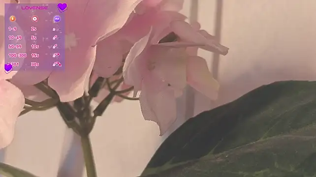 Voyeurpeaches