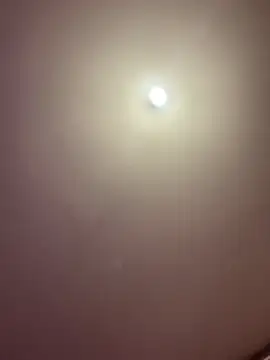 MlleDiorr