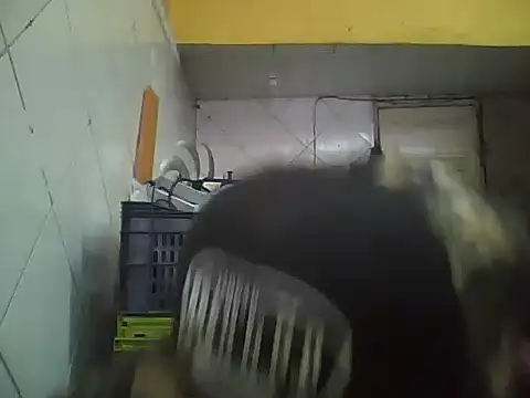 TerceiroDesejo