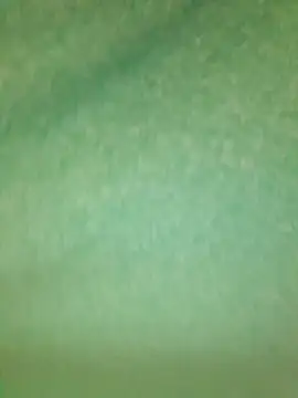 LeoMaduroSP