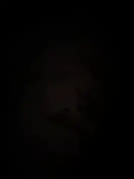 Tran_ny
