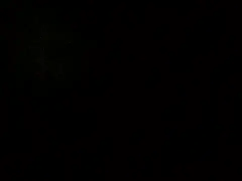 SAMMIE_SHARI