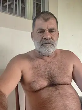 Peludo173317