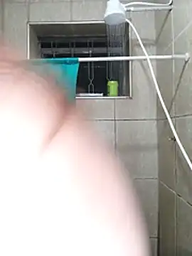 Modelo: TransBollat