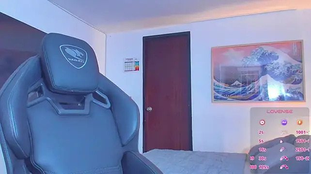 RJBarto webcam