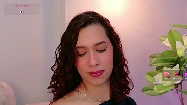 Sophie-Waldorf webcam