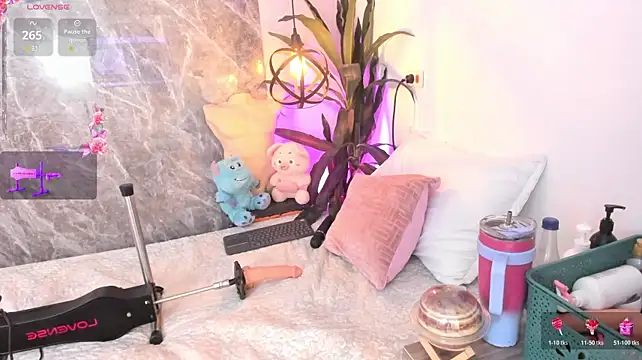 Meg_Stein