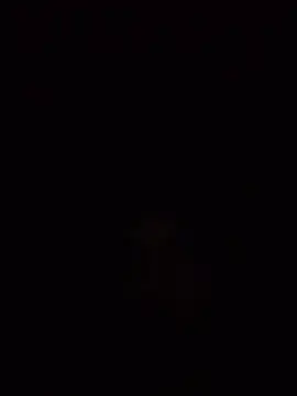 menenm live cam preview