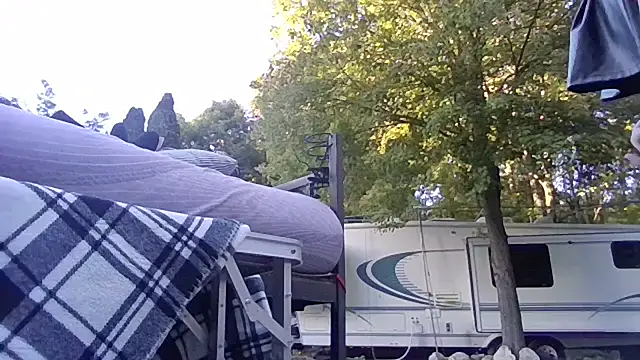 mspatience live cam preview