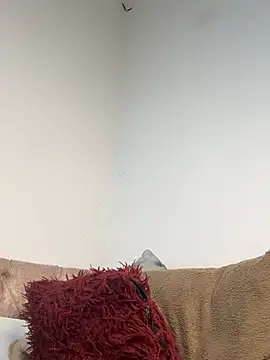 saray_gv